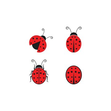 Ladybug logo vector icon illustration
