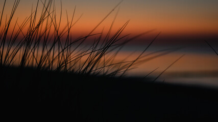 Gras vor Abendrot und Meer