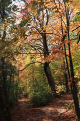 カナダのトロント郊外のハートレーク保護公園　Heart Lake Conservation Park