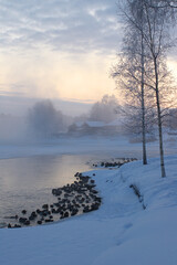 Rural winter landscape. Ducks in a frozen lake in the village.