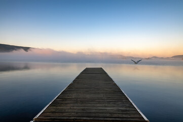 Fototapeta na wymiar Blue Heron flying over Lake Pleasant 