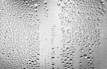 Water drops on glass surface. Droplets black and white background