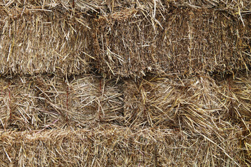 natural hay fodder feed straw bale stacked binded bound close-up suitable for background website backdrop