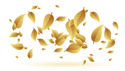 falling or floating leaves background design