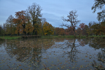 Herbstliche Stimmung im Landschaftspark