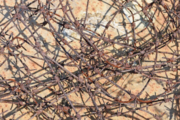 A coil of rusty barbed wire close up