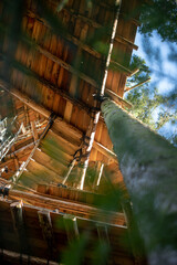 Erlebnispädagogik und Naturerlebnis im Wald, Baumhaus mit Seilen an Bäumen befestigt.