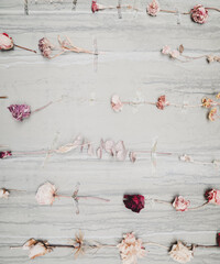 Beautiful floral background. pattern made of dried roses. Flowers composition. Romantic postcard, Wallpaper