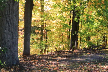 カナダのトロント郊外のハートレーク保護公園　Heart Lake Conservation Park