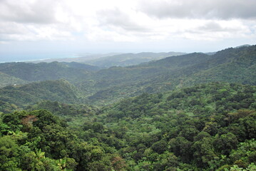 El Yunque Regenwald, Puerto Rico