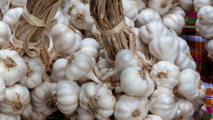 garlic in the market