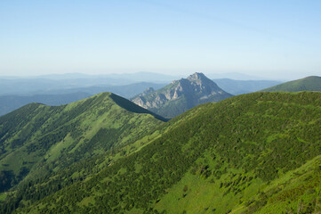 Mala fatra, Slovakia, Europe - hills and mountains. Peak and summit of rocky Velky Rozsutec in the background. Evening light in summer.