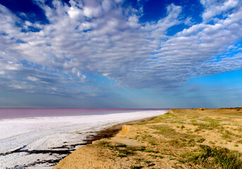 pink water of the Sivash Bay, Kherson region, Ukraine