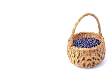 Fototapeta na wymiar Forest blueberries in a basket on a white background, space for your text, copy space