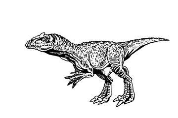 Vector Allosaurus isolated on white background,graphical illustration