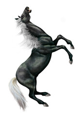 illustration, cheval, animal, blanc, bagarre, noir, debout, étalon, mammifère, galop, ferme, 3-d, silhouette, arabe, chevalin, nature, course, animal de compagnie, sauvage, crin, courir
