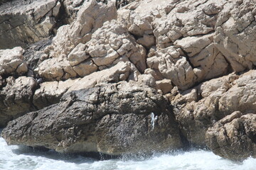 Calanques de Marseille