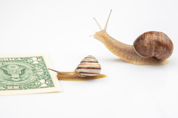 speed to achieve financial well-being. snails run to the finish line with money. breakthrough and perseverance in the business. business relationship competition metaphor.