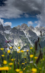 Hiking in the Alps in the Stubai Valley on summer vacation in beautiful nature, Tyrol, Austria
