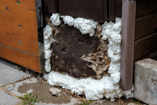 Seams Of A Concrete Foundation In A Country House, Sealed With Special Polyurethane Foam To Retain Heat And Protect Against Drafts.