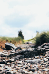Beautiful stony paved path across the Hruby Jesenik, Czech Republic. Between the mountains Vysoka hole and Velky Maj. naturally made path for walking and crossing animals