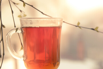 Tea in a transparent Cup against the background of spring foliage. Sunny spring day.