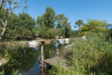 CARCANS (Médoc, France). Le canal des étangs
