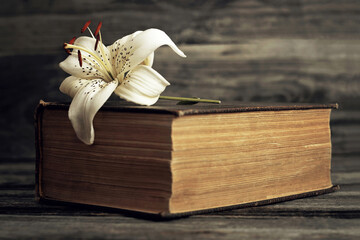 Sympathy card with lily flower on old book