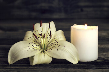  Sympathy card. Candle and white lily on dark background with copy space.