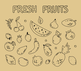 Big set of hand drawn fruits and berries. Fresh organic summer fruits and berries. Decorative vector background in flat style for advertisement, promotion. Healthy food. Juicy fruits