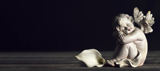 Sleeping angel and white calla lily on dark wooden background with copy space