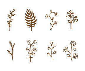 Set of doodles branches, herbs, plants. Hand drawn elements on white background. Vector illustration.