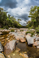 Fototapeta na wymiar São Francisco River - Serra da Canastra National Park - Minas Gerais state - Brazil