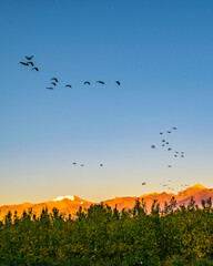Obraz na płótnie Canvas Mountains Landscape, San Juan Province, Argentina
