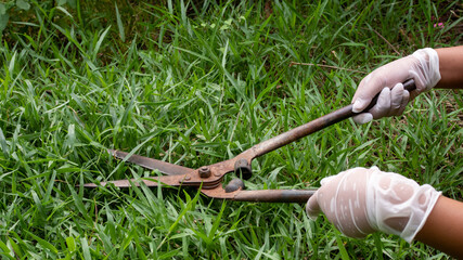 The image of a man holding a gardening scissors