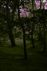 Obraz premium 景色