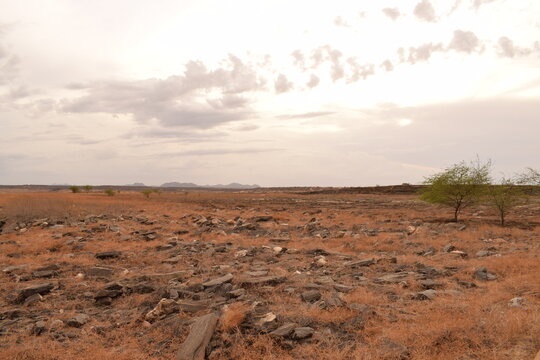 Em algum lugar pr&oacute;ximo a barragem Armando Ribeiro Gon&ccedil;alves. 