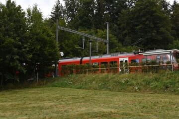 Fototapeta na wymiar Small railway platform for passengers in local train station with red electric train heading to Uetliberg mountain in the Swiss plateau
