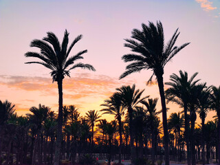 Sunset in Orihuela Costa