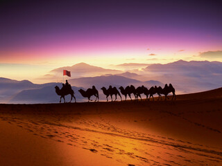 Traveller - Travel in the desert on camels