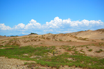 Fototapeta na wymiar Paoay sand dunes in Laoag City, Ilocos Norte, Philippines