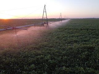 Fototapeta na wymiar Automatic watering of fields, top view at sunrise.