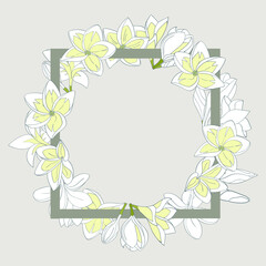 Tropical frangipani in a circle and a square frame, empty space for text, vector illustration