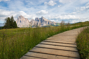 Fototapeta premium Alpe di Siusi - Seiser Alm with Sassolungo - Langkofel mountain group in front of blue sky with clouds.