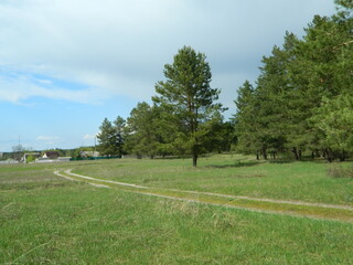 Obraz premium landscape with trees