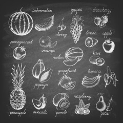 Set of fruits on the blackboard. Hand drawn elements. Vector illustration.