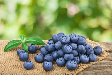 fresh blueberry on wooden table with blurred garden background. Clipping path and full depth of field