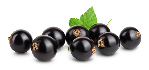 black currant with leaves isolated on white background with clipping path and full depth of field