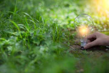 Light bulb Energy saving green nature background