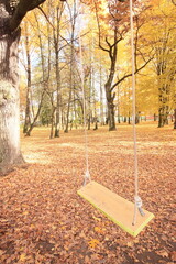 Swings on the rope in the park in fall 